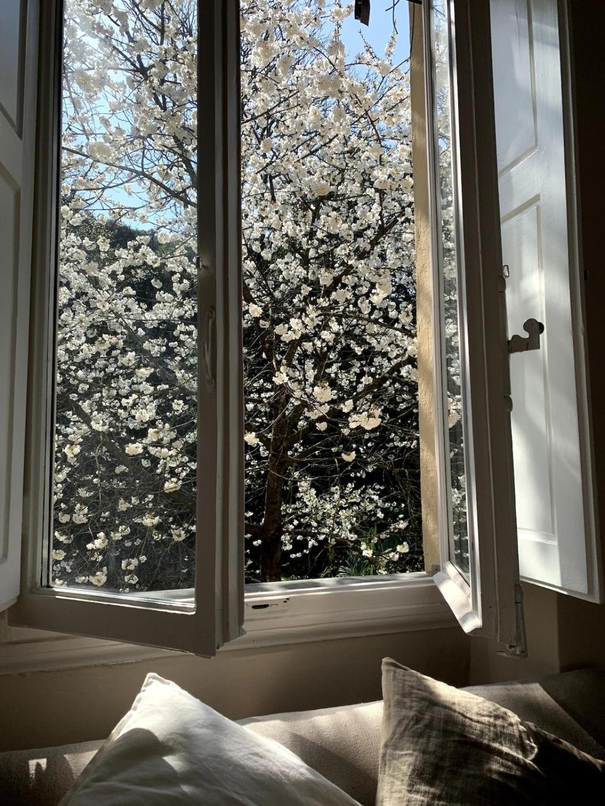 Surrounded By Greenery In The Heart Of Apartamento Florencia